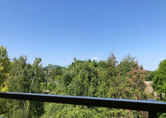 公寓 Hatszel 巴拉顿菲赖德