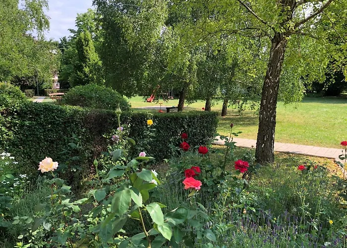 Hatszel 巴拉顿菲赖德