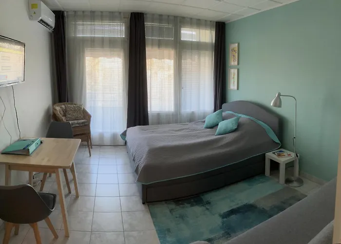 Hatszel 巴拉顿菲赖德